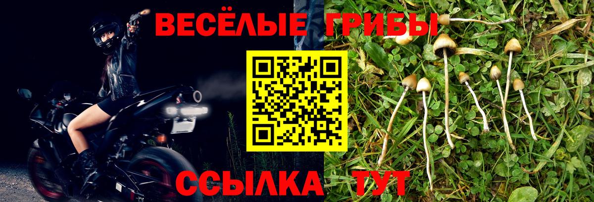 Галлюциногенные грибы MAGIC MUSHROOMS  Вход с VPN  Псилоцибиновые грибы Psilocybe  Богородск 
